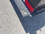 General Appearance with Paint