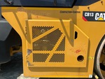 General Appearance with Paint