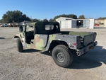 General Appearance with Paint