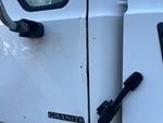 General Appearance with Pintura