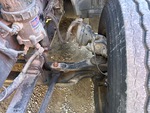 Underbody with
