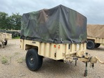 General Appearance with Paint
