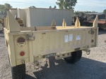 General Appearance with Paint