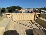 General Appearance with Paint