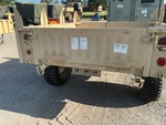 General Appearance with Paint