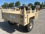 General Appearance with Paint