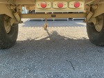 Trailer Chassis with Axle Condition