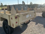 General Appearance with Paint