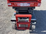 General Appearance - Scissor Lift* with Stufen/Leitern
