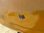 General Appearance with Paint
