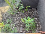 Configuration with
