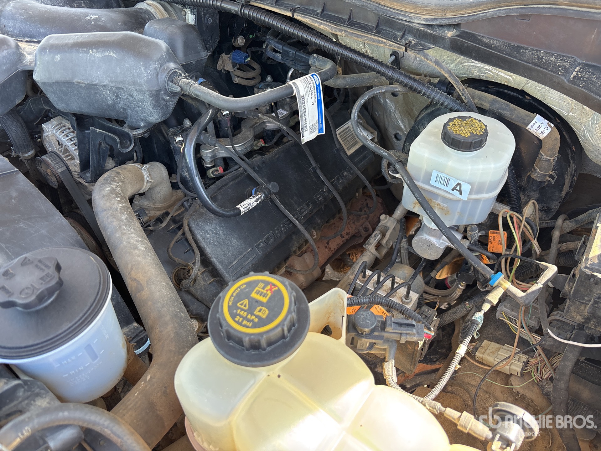 Moteur with