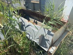 Cold Feed System with