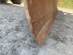 Specialty with Blade Cutting Edge Condition
