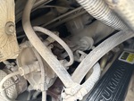 Engine with Exhaust System