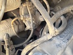 Engine with Exhaust System