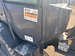 General Appearance with Paint