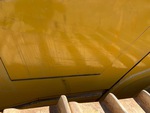 General Appearance with Paint