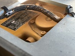 Engine with Emission Label