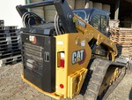 General Appearance with Paint