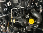 Engine with Fuel System