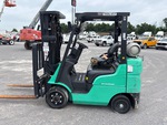 General Appearance with Paint