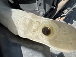 Motor with