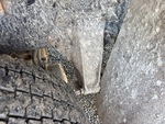 Underbody with Resortes/Ganchos de Suspensión
