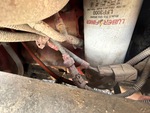 Motor with
