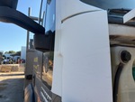General Appearance with Paint