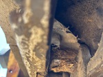 Undercarriage with Perni e boccole ruotati?
