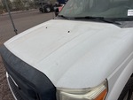General Appearance with Paint