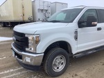 General Appearance with Pintura