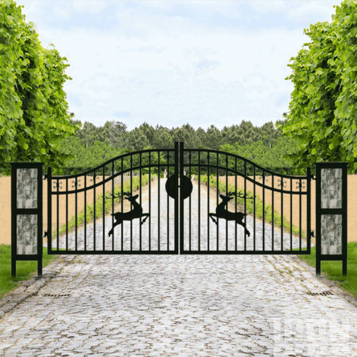 General Appearance with Picture, Left Front Corner