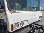 General Appearance with Paint