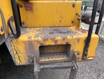 General Appearance with Paint