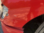 General Appearance with Pintura
