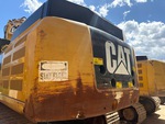 General Appearance with Paint