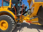 General Appearance with Paint