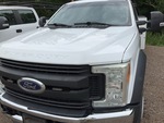 General Appearance with Paint