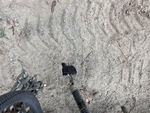 Air Compressor with