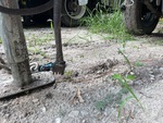 Chassis with Power Receptacle Functional