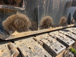 Undercarriage with Right Track Rollers