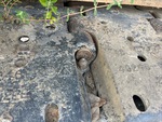 Undercarriage with Left Track Bushings