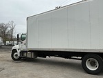 General Appearance with Paint