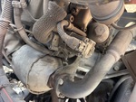 Engine with Exhaust System