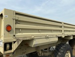 General Appearance with Paint