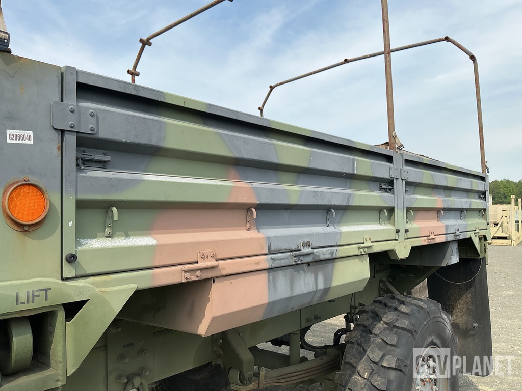 General Appearance with Paint