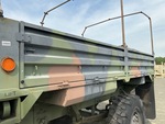 General Appearance with Paint
