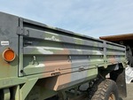 General Appearance with Paint